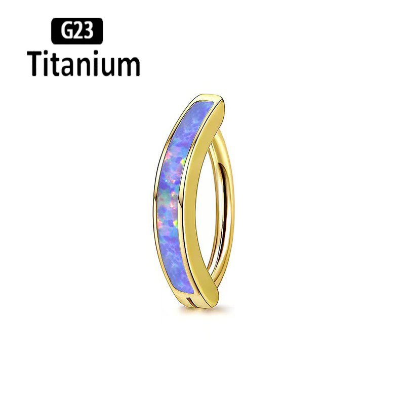 1 Buah 14G Implan Kelas G23 Ti - Body Jewelry Implants ulasan dan harga